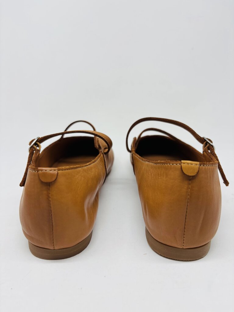 Antelope Flats Tan 10