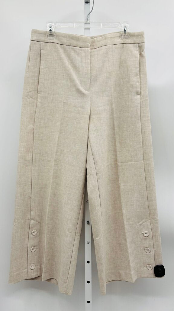 Ann Taylor Pants Wide Leg Beige 10