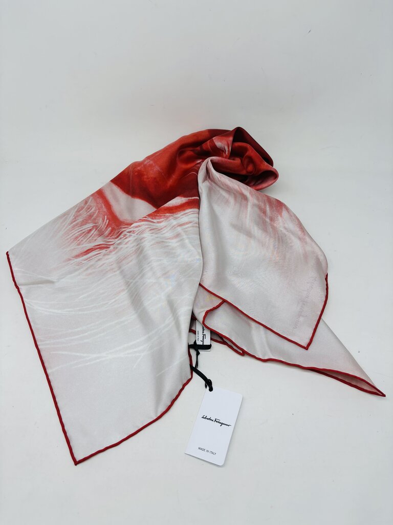 Ferragamo Scarf Red