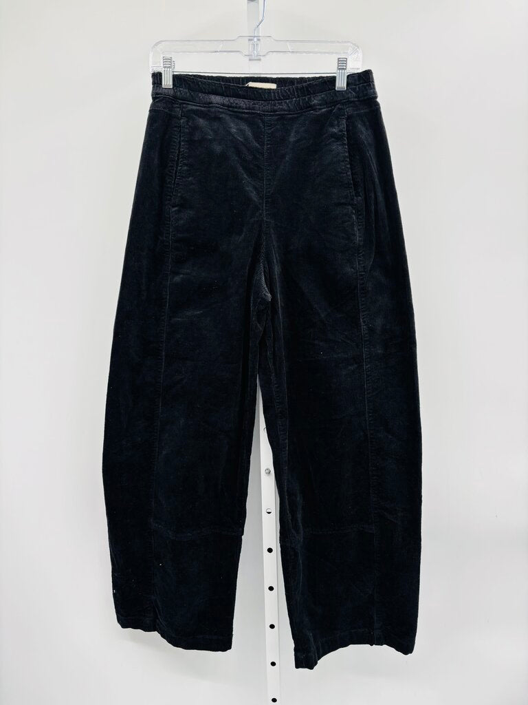 Pilcro Pants Black S