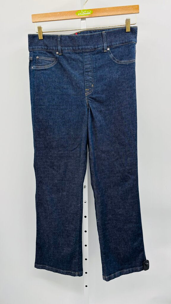 Spanx Jeans Plus Denim 1X