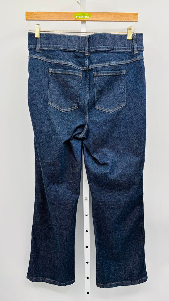 Spanx Jeans Plus Denim 1X