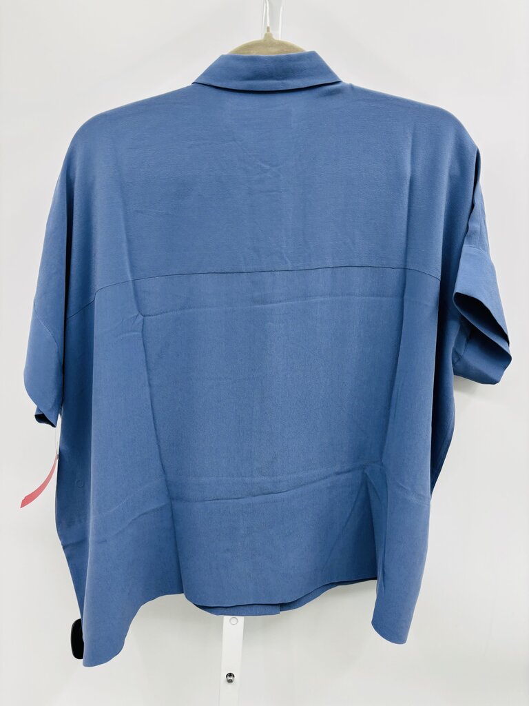 Everlane Shirt Blue 6