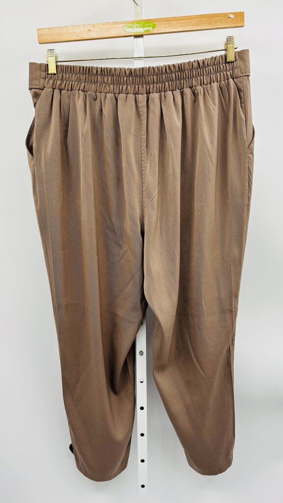 Max Studio Pants Plus Brown 1X