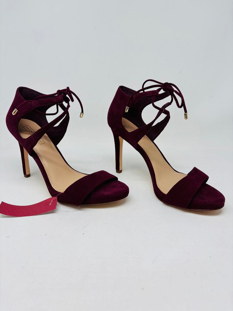 Antonio Melani Heels Purple 9