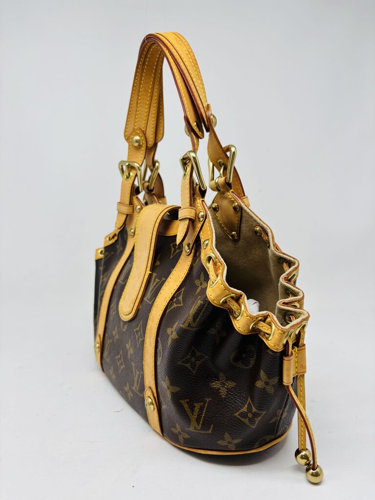 Louis Vuitton LUXURY HANDBAGS Brown Monogram