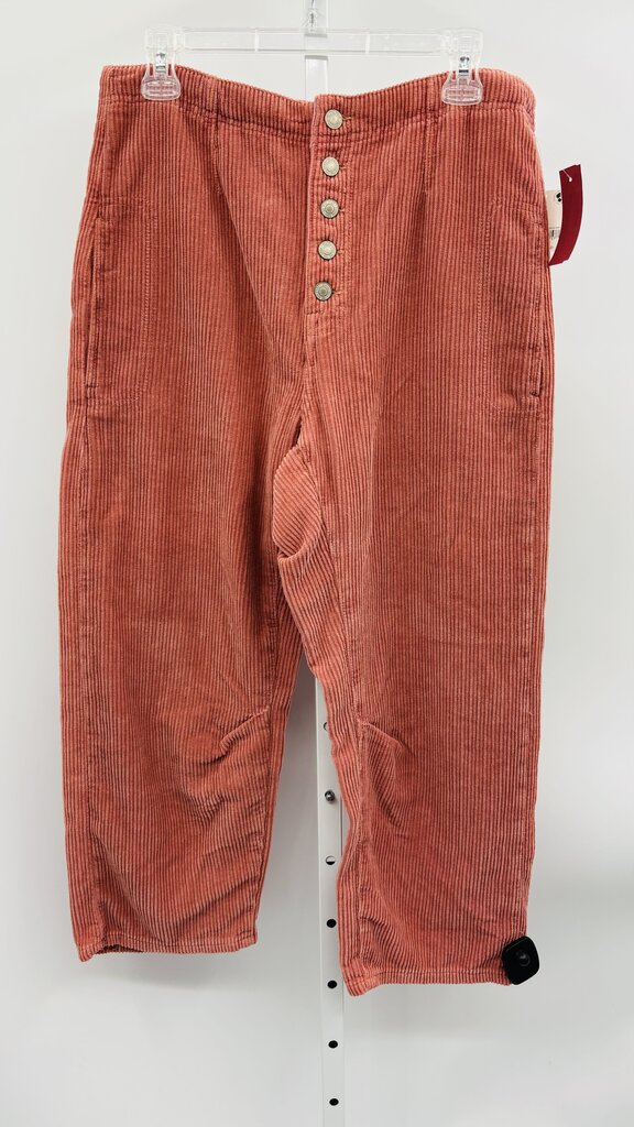 We the Free Pants Pink 8