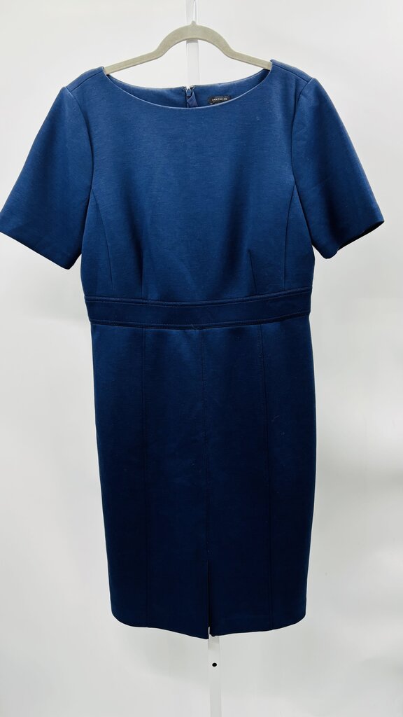 Ann Taylor Dress Navy 14