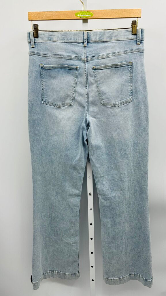 Spanx Jeans Plus Denim 18