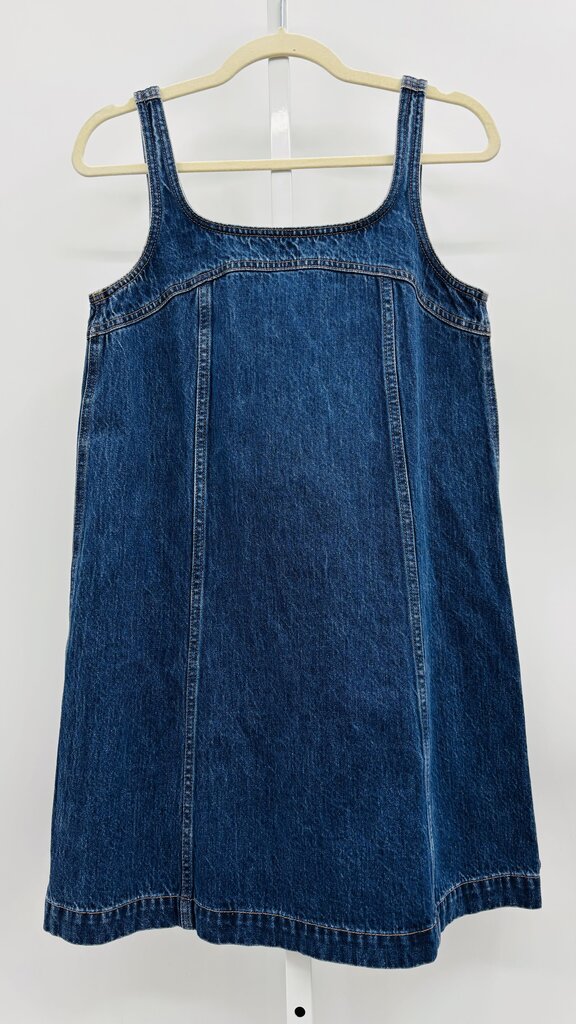 Madewell Dress Denim 4