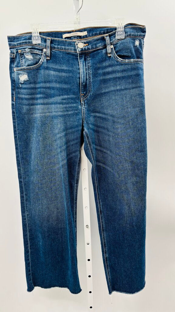 Hudson Jeans Denim 12