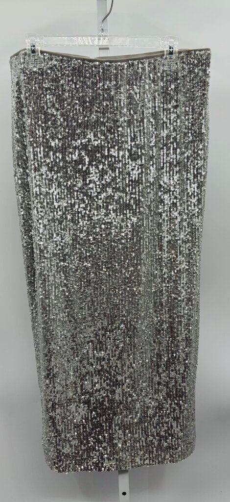 Ann Taylor Skirt Silver 12