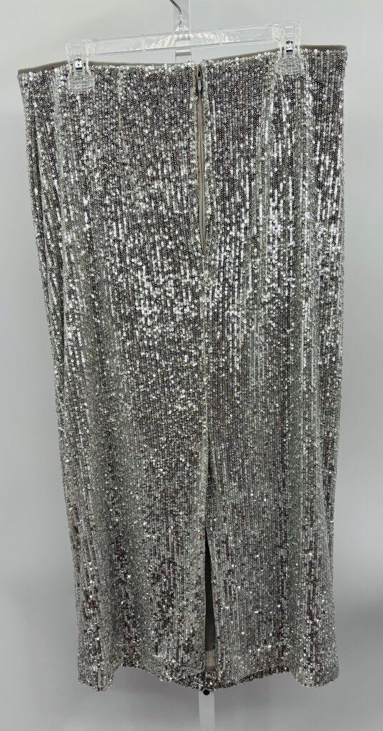 Ann Taylor Skirt Silver 12