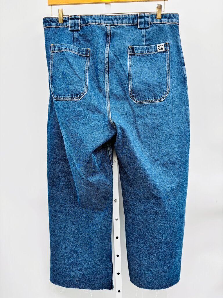 Lucy & Yak Jeans Plus Denim 1X