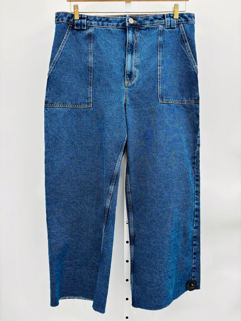 Lucy & Yak Jeans Plus Denim 1X