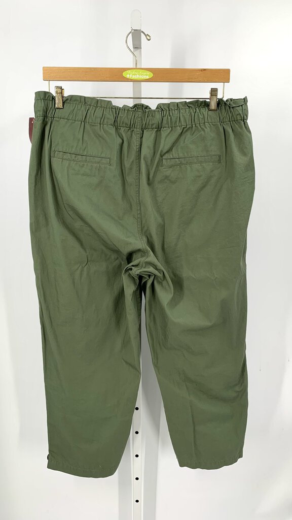 Loft Pants Plus Sage 18